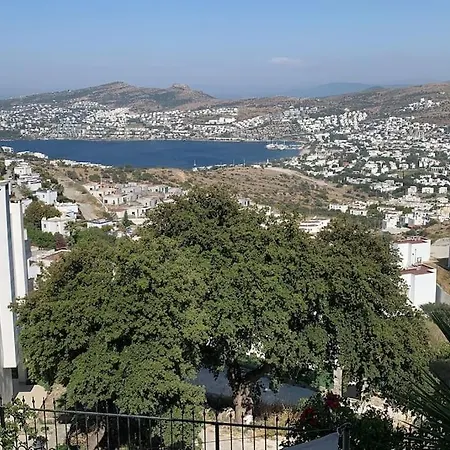Appartement Thea Gundogan - Amazing! Bodrum